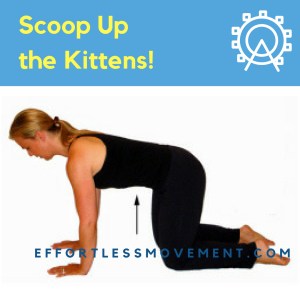 Pregnant Cat INSTA (1)